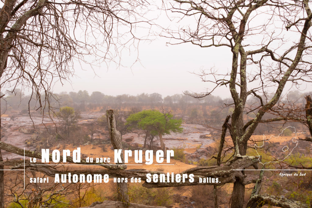 Parc Kruger Nord safari
