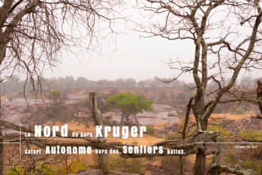 Parc Kruger Nord safari