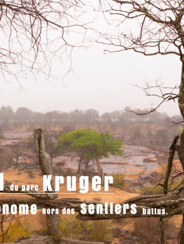 Parc Kruger Nord safari