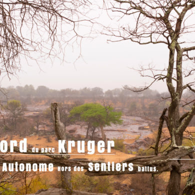 Parc Kruger Nord safari