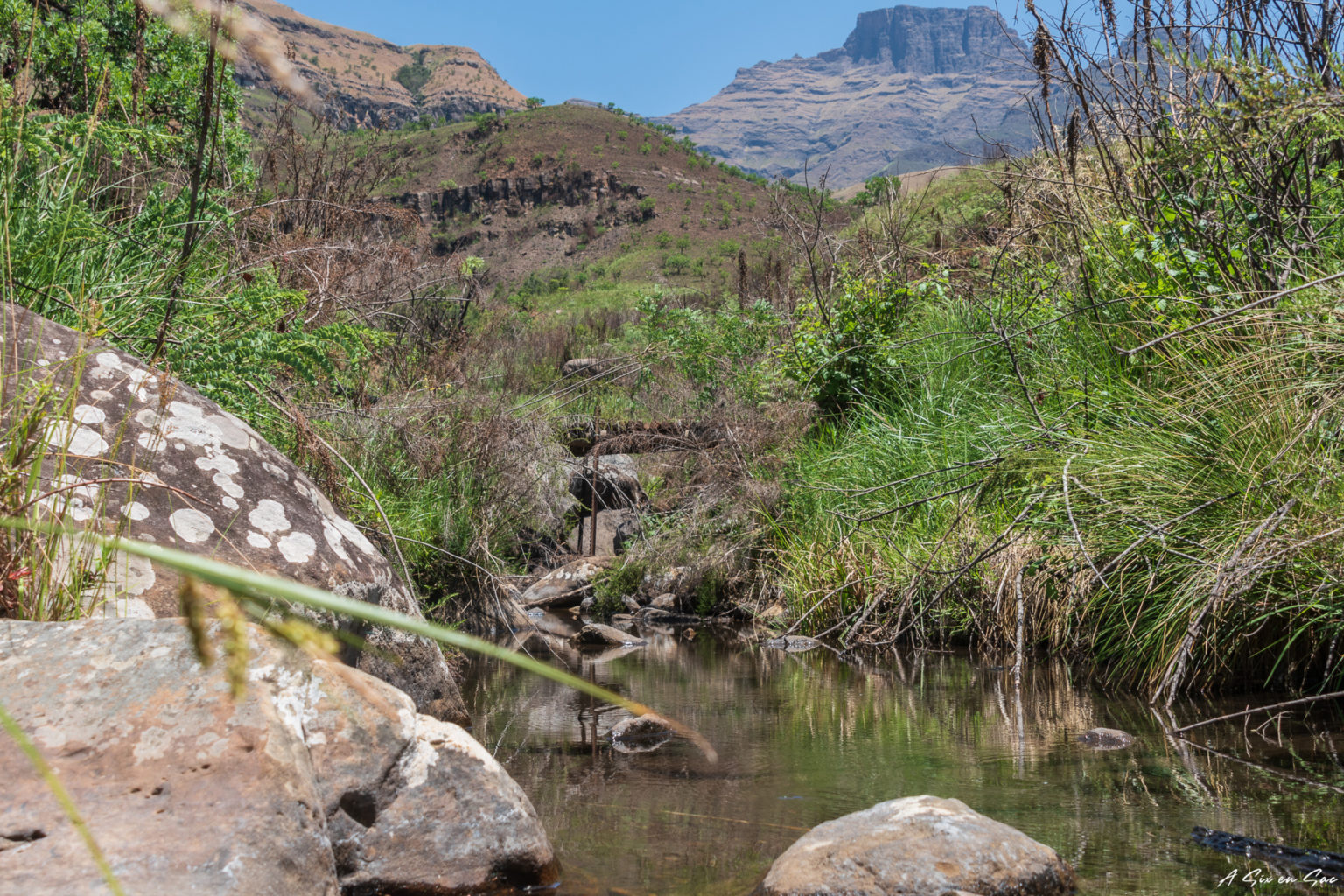 cours d'eau arrivant des Nandi Falls - Drakensberg centre - Afrique du Sud