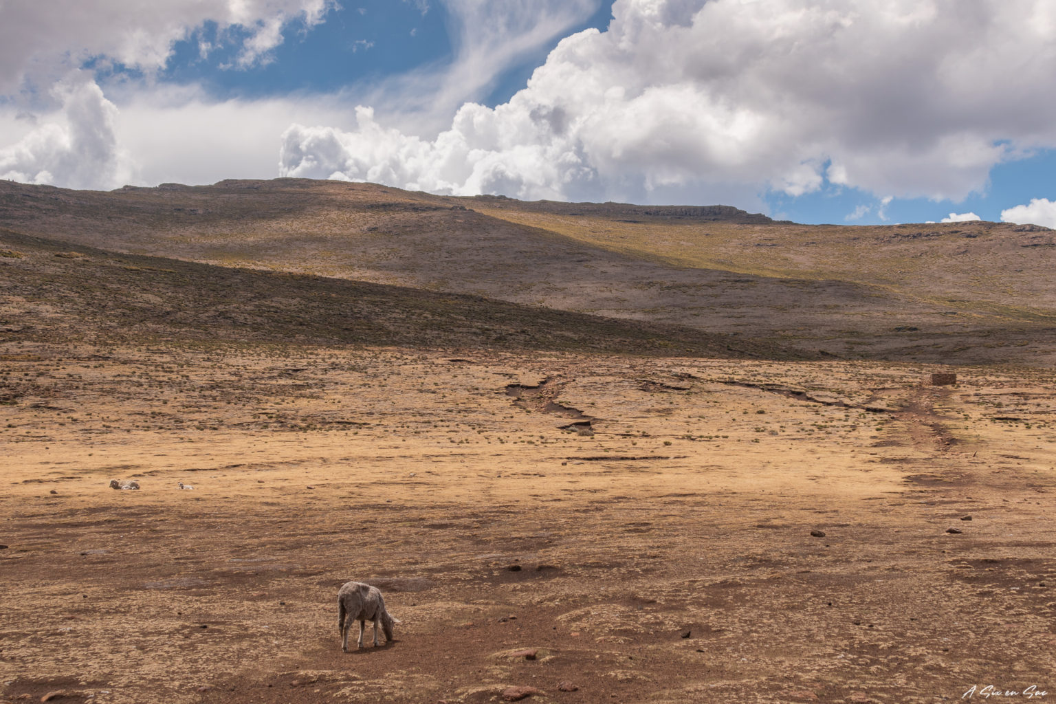 Plateau du Lesotho après avoir franchi le col du Sani Pass dans le Drakensberg