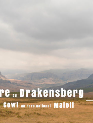 au Centre du Drakensberg en Afrique du Sud