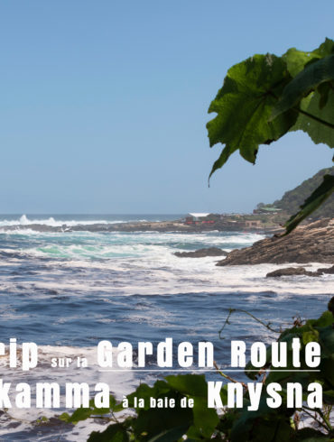 Road Trip sur la Garden Route en Afrique du Sud Novembre 2019