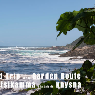 Road Trip sur la Garden Route en Afrique du Sud Novembre 2019