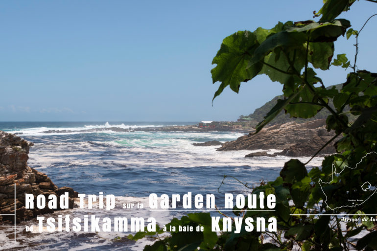 Road Trip sur la Garden Route en Afrique du Sud Novembre 2019