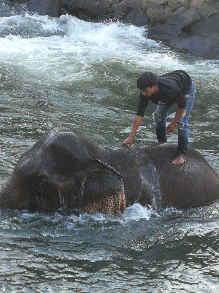 bain des éléphants à Tadlo 1