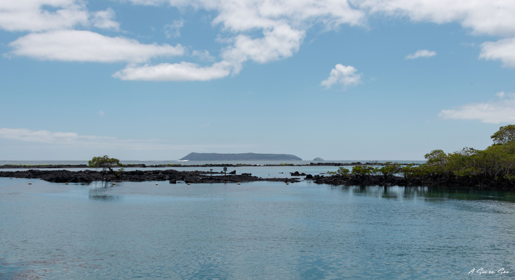 la concha de perla depuis le ponton sur Isla Isabela Galapagos en novembre 2020