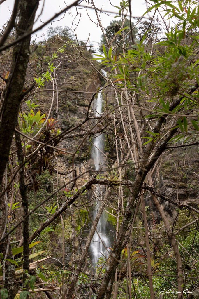 Cascade El Chorro vu au travers de la végétation proche de Giron ( comme Ingapirca aux environs de Cuenca en equateur