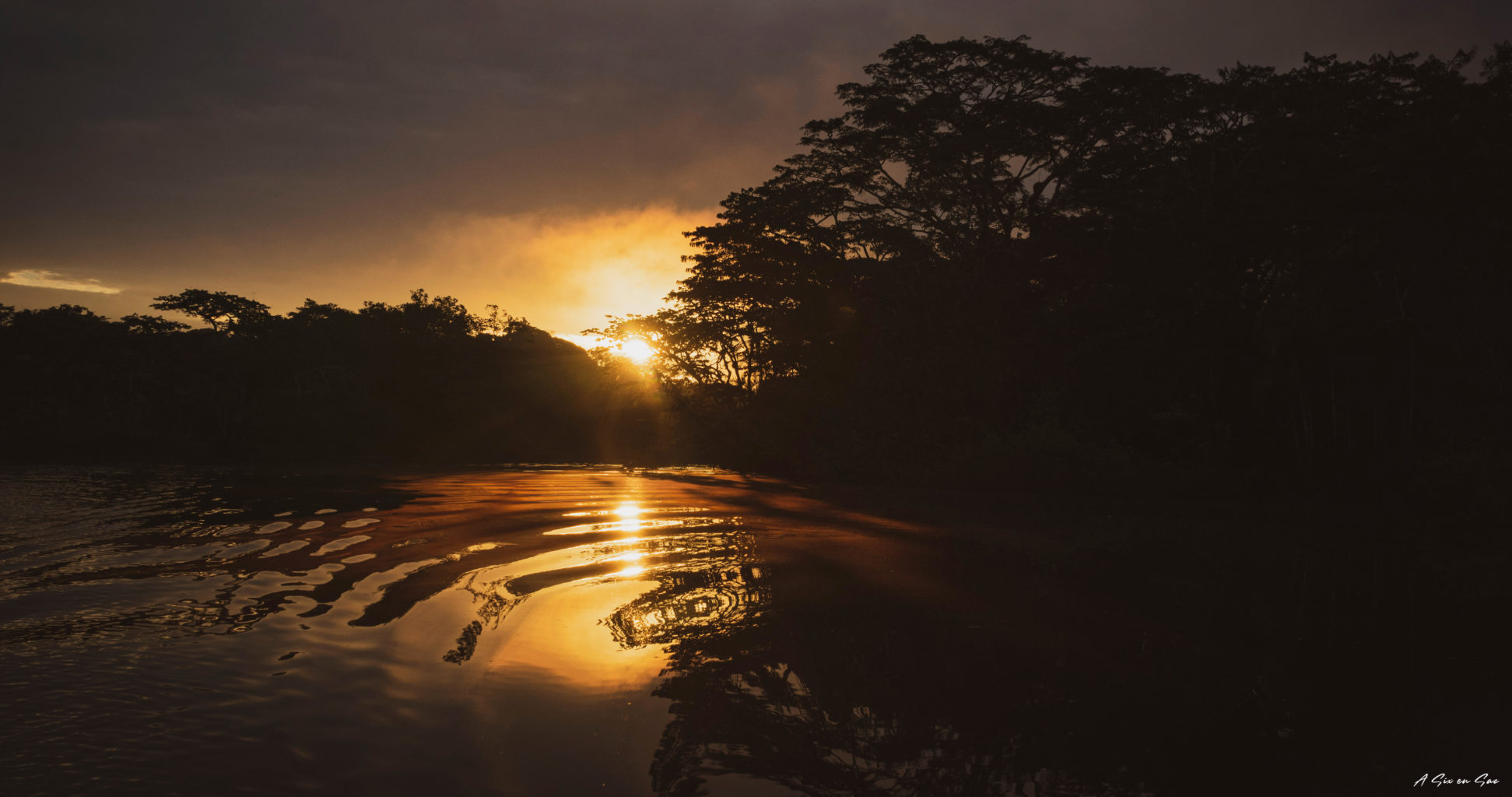 Cuyabeno Amazonie Equatorienne : lever du soleil sur la laguna grande