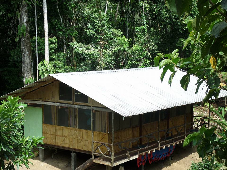 nous avions retenu le sasha sisa lodge comme camp de base pour une excursion en Amazonie en Equateur