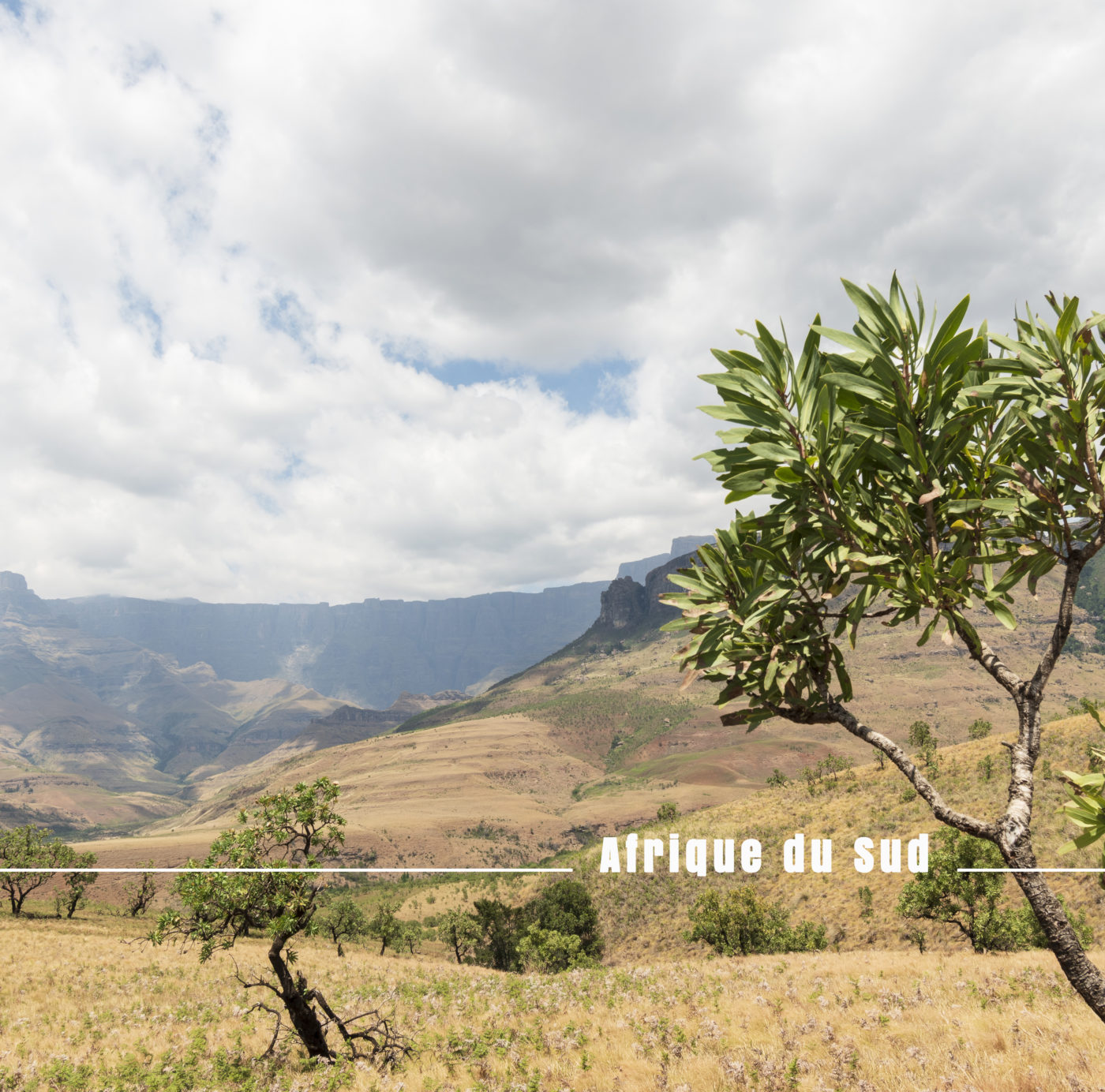 Afrique du Sud , notre road trip en famille fin 2019 asixensac