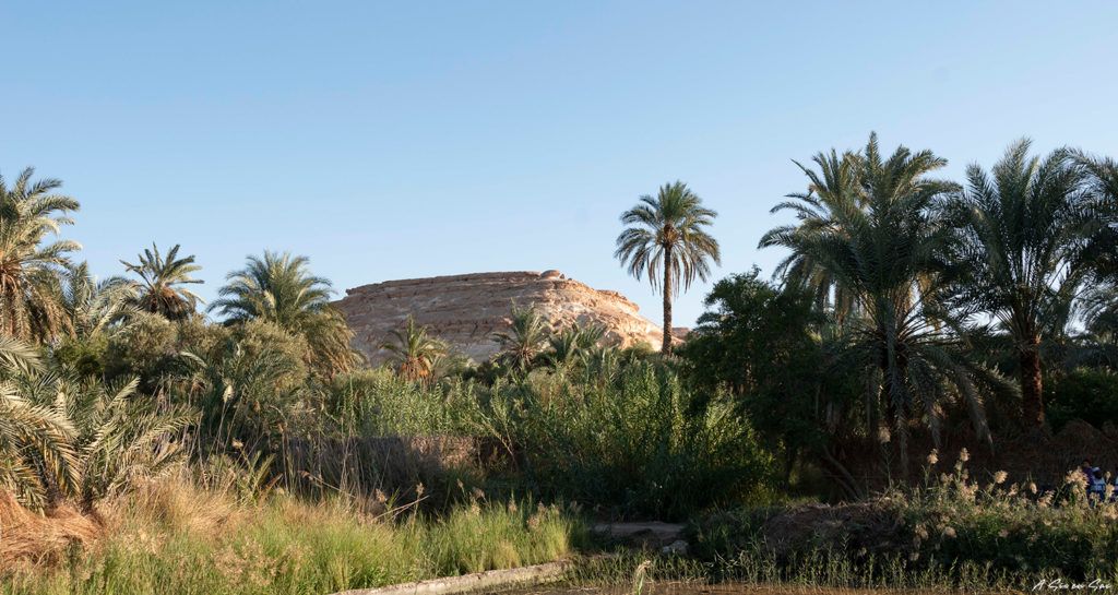 "colline" point de vue sur l' oasis de Siwa en Egypte