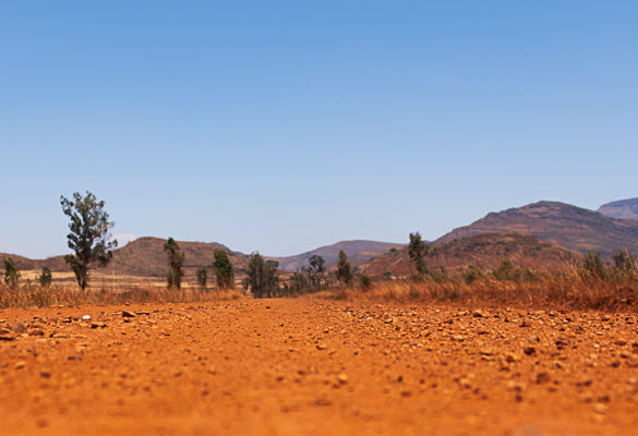 préparer son voyage en Afrique du Sud