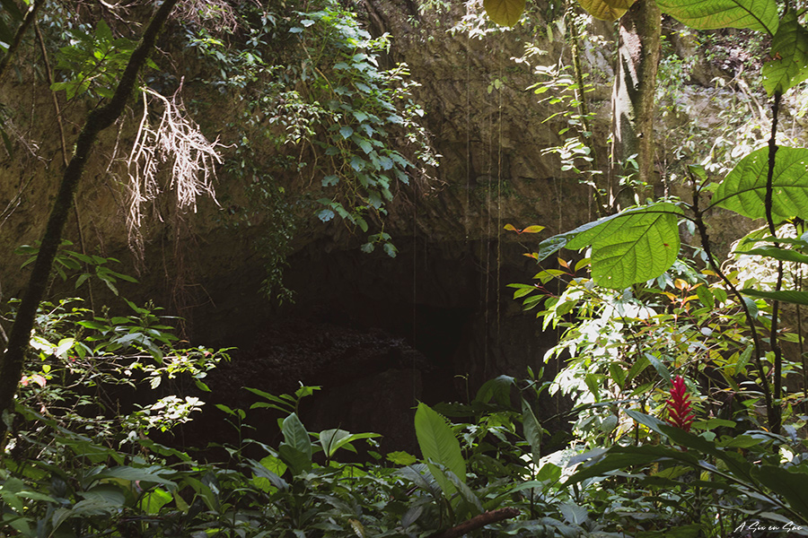 entrée de la cueva del tigre proche de la Finca Tatin ( Rio Dulce au Guatemala )
