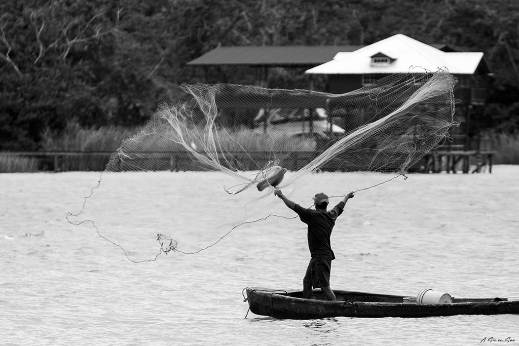 pêcheur au filet sur le lac Izabal à proximité de la ville de Rio Dulce