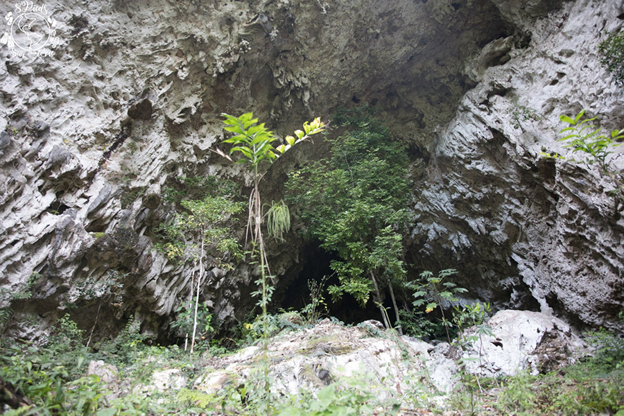 visite des grottes de Candelaria par les 8 pieds sur terre