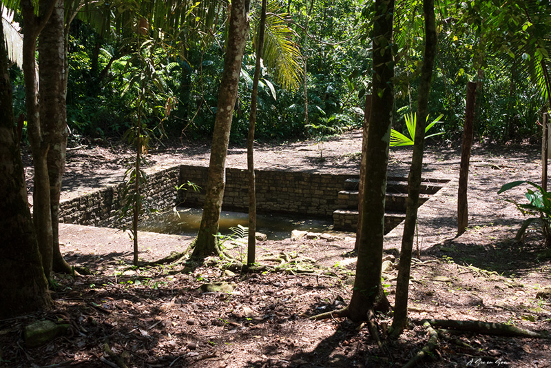 la piscine, dernière partie de notre visite de la citée maya de Cancuen au Guatemala