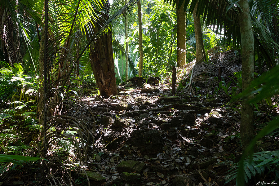 Cancuen : la citée maya perdue dans la jungle au Guatemala
