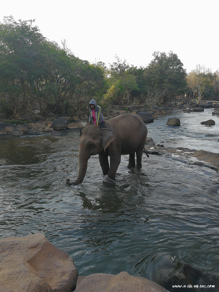 bain des éléphants à Tadlo 2