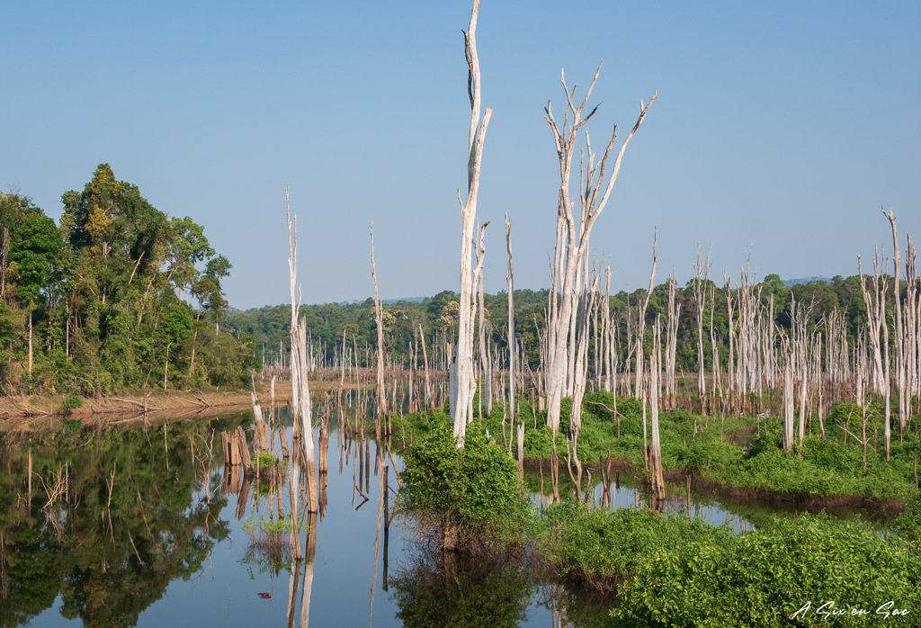 forêt inondée par le lac artificiel entre Thalang et Lak Sao-boucle de Thakhek-Laos
