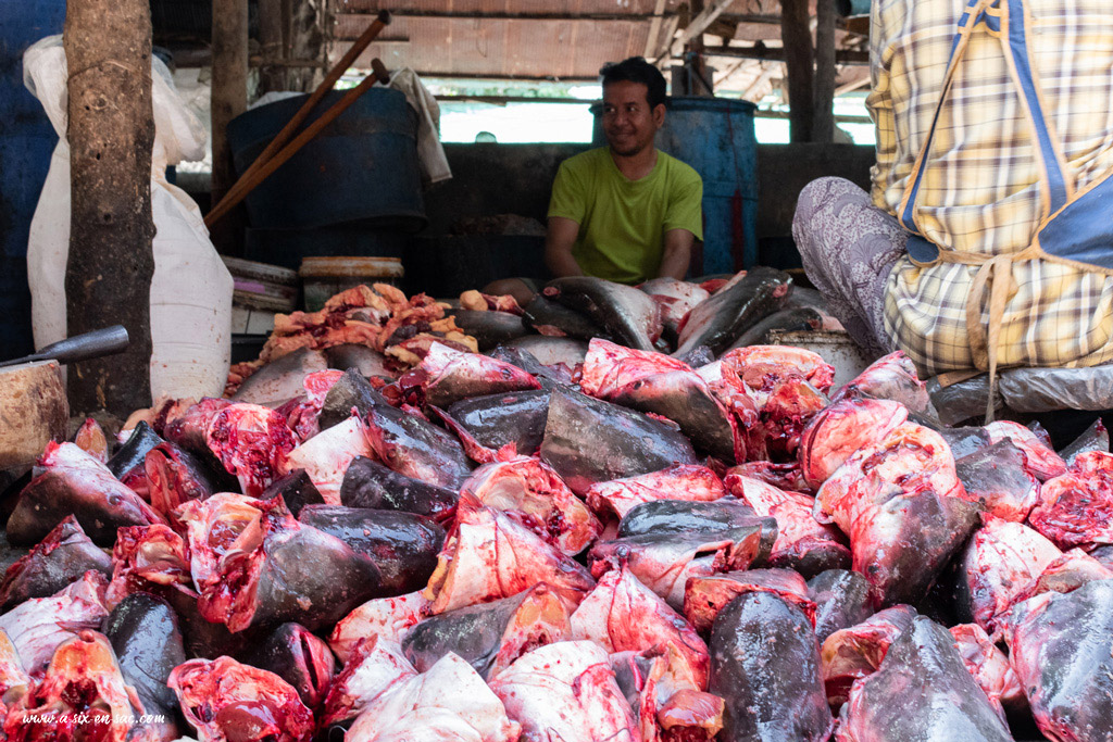 artisan pêcheur de Battambang-Cambodge devant une pile de tête de poissons