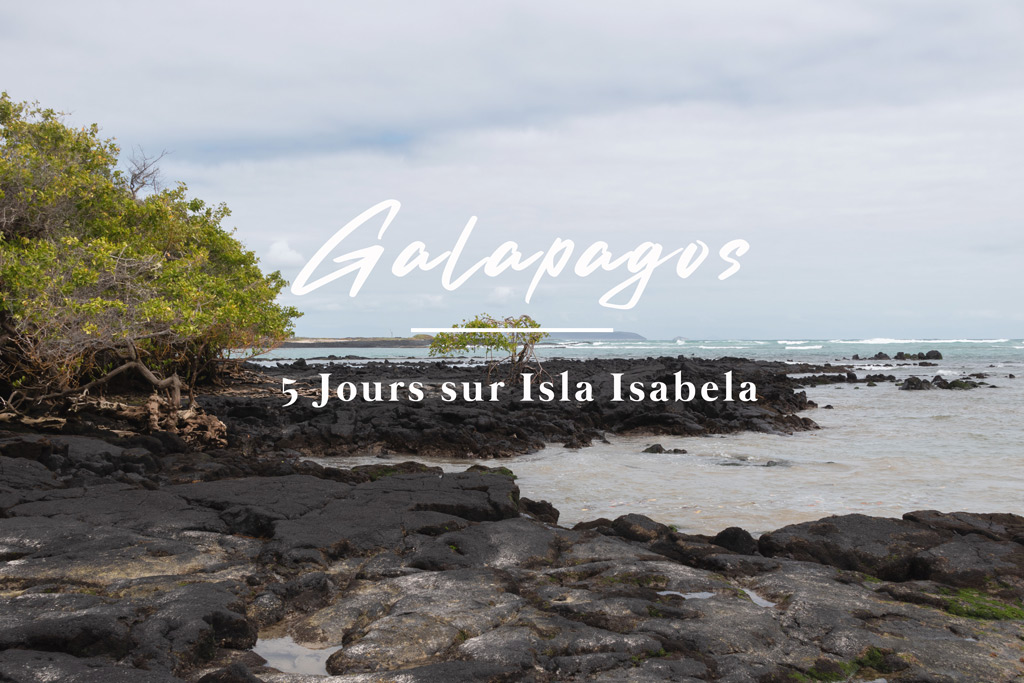 Galapagos Isla Isabela 2020