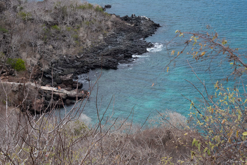 vue sur la baie et le ponton des Tijeretas depuis le point de vue Galapagos San cristobal Equateur novembre 2020