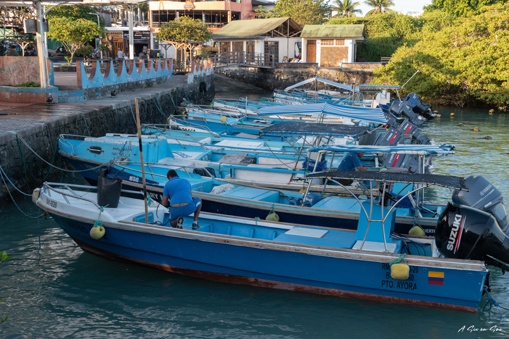 bateaux du port de pêche de Puerto Ayora-Santa Cruz-Galapagos novembre2020