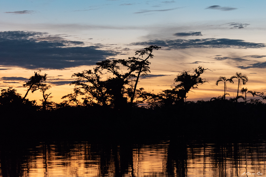 coucher de soleil sur la laguna grande : reserve de Cuyabeno en Amazonie ( coté Equateur ) une dernière raison de bine préparer son excursion et de faire les bons choix