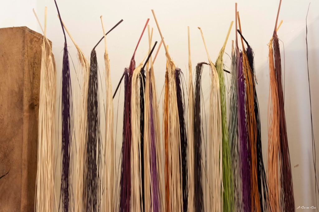fibres du palmier Toquilla après coloration à Cuenca Equateur