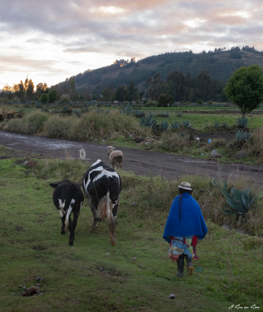 lumière rasante derrière un nuage pendant la promenade des champs ( ou villages ) au pied du volcan Chimborazo dans la sierra en Equateur