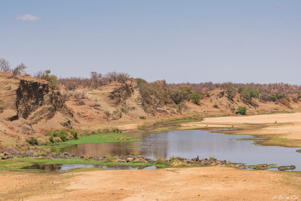 la letaba : rivière au centre du parc national Kruger pendant notre safari