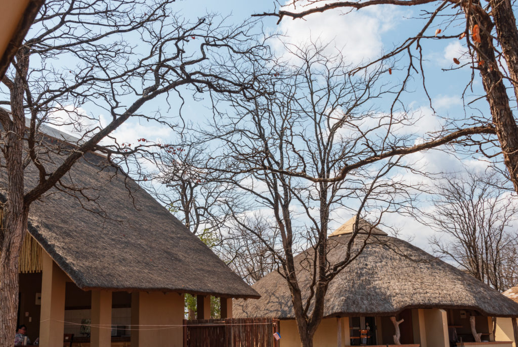 Safari au nord du parc Kruger : le rest camp de Shingwedzi