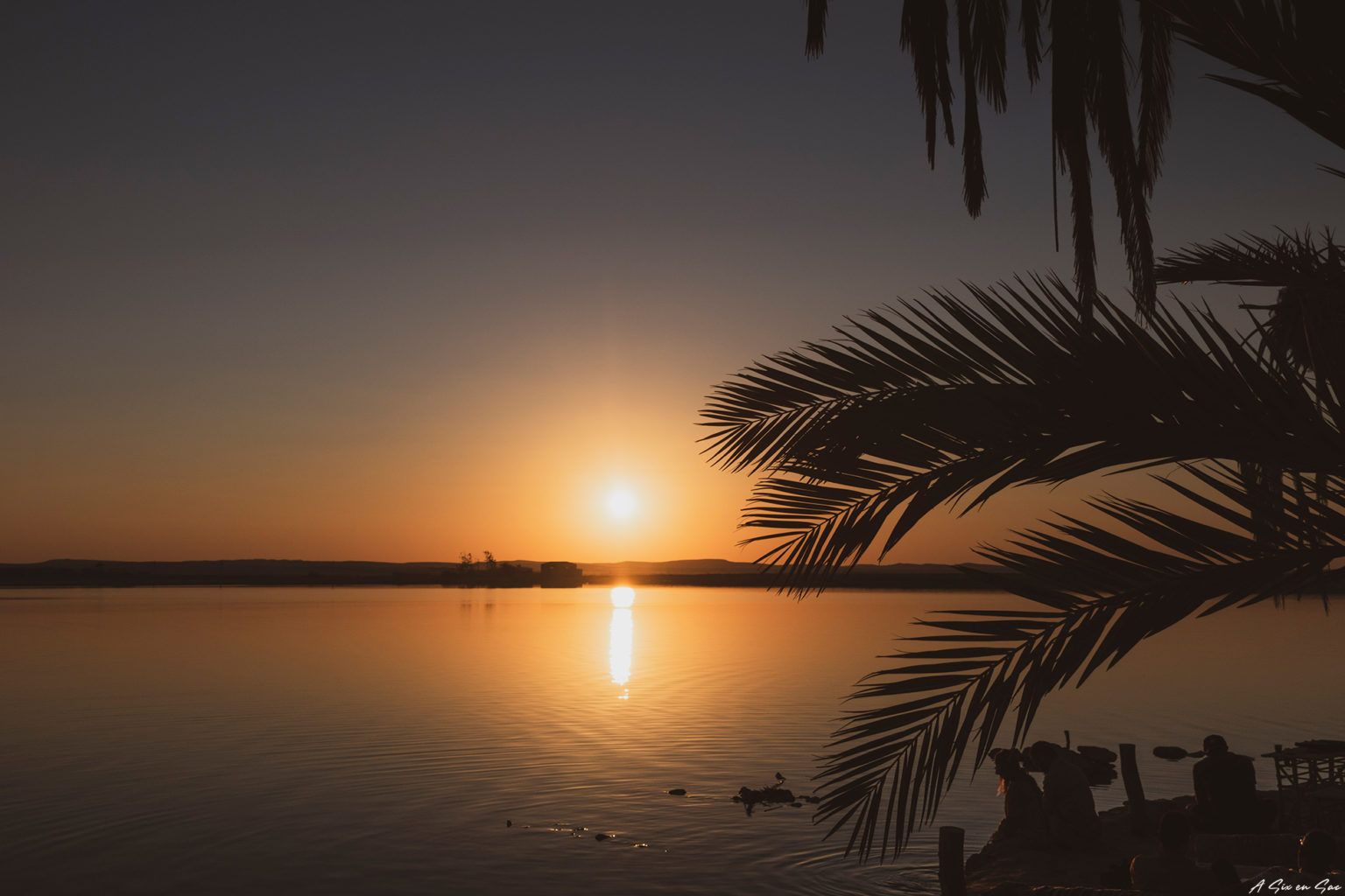 SIwa ( oasis en Egypte ) coucher de soleil depuis l'oasis de Fatnas