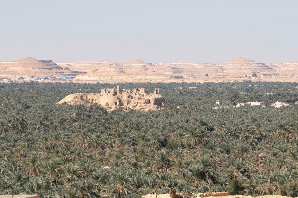vue sur l'oasis depuis la montagne avant notre excursion dans le désert du Sahara en Egypte