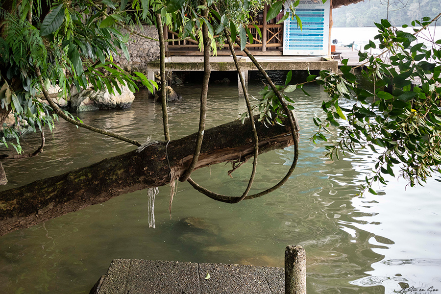 ponton donnant accès aux sources chaudes sur le feluve Rio Dulce au Guatemala